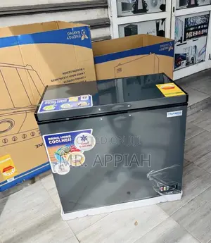 Buy Unique Nasco 1 Door Electric Chest Freezer(Nas200fl)150l,Gray 