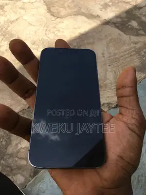 Apple iPhone 13 Pro 256 GB Gray