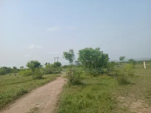 200 Acres of Land for Sale Right After Central University, Miotso