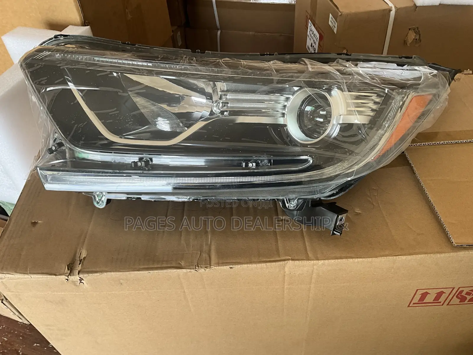 2019 Honda CRV Headlight