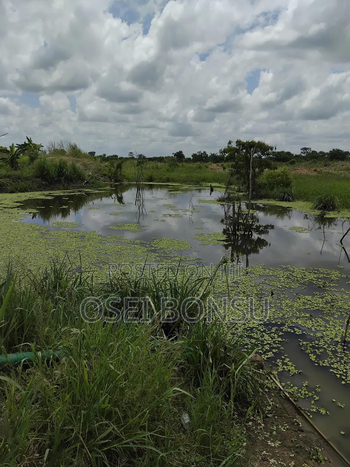 A Fully Functioning Farm Up for Sale