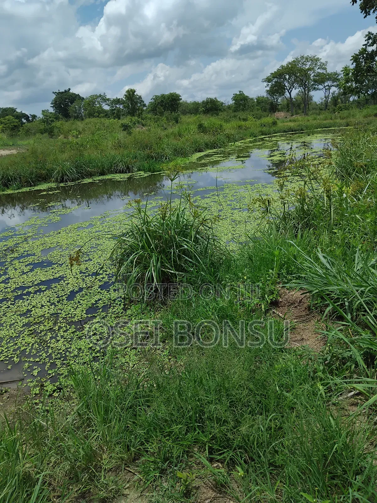 A Fully Functioning Farm Up for Sale