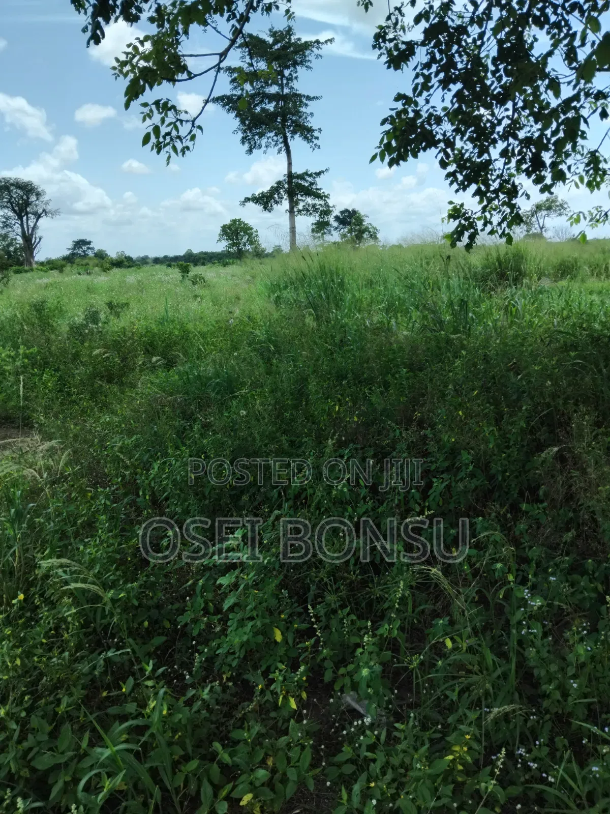 A Fully Functioning Farm Up for Sale