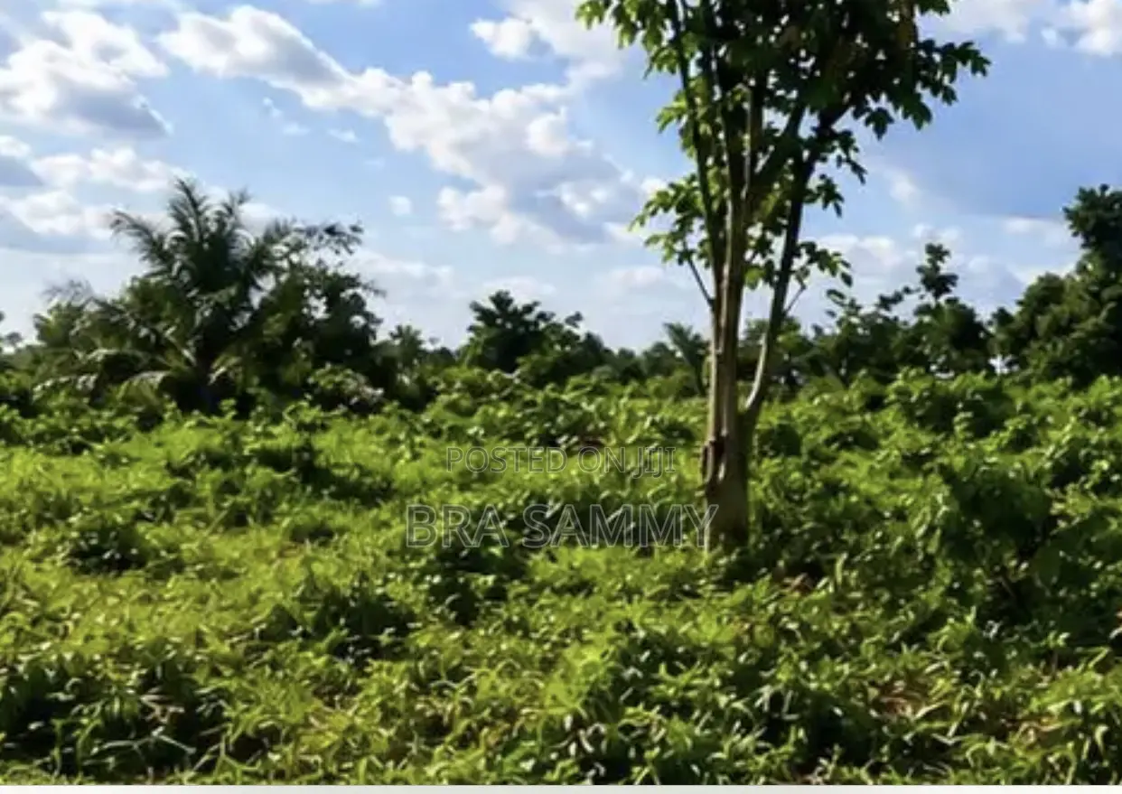 Land for Sale