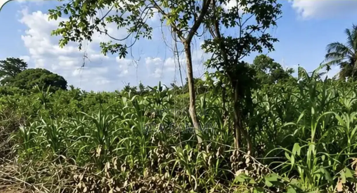 Land for Sale