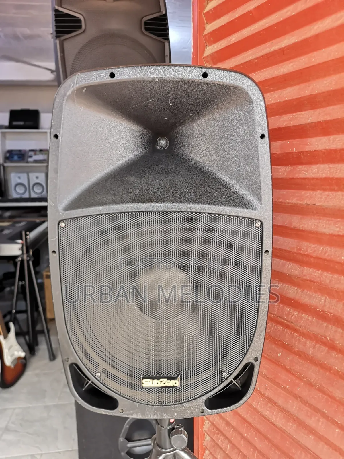 Subzero Pa-P15 Portable Speaker System With 2 Microphones