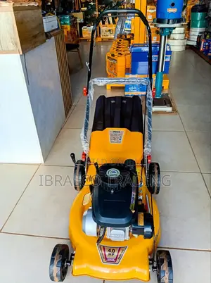 Ingco Gasoline Lawnmower