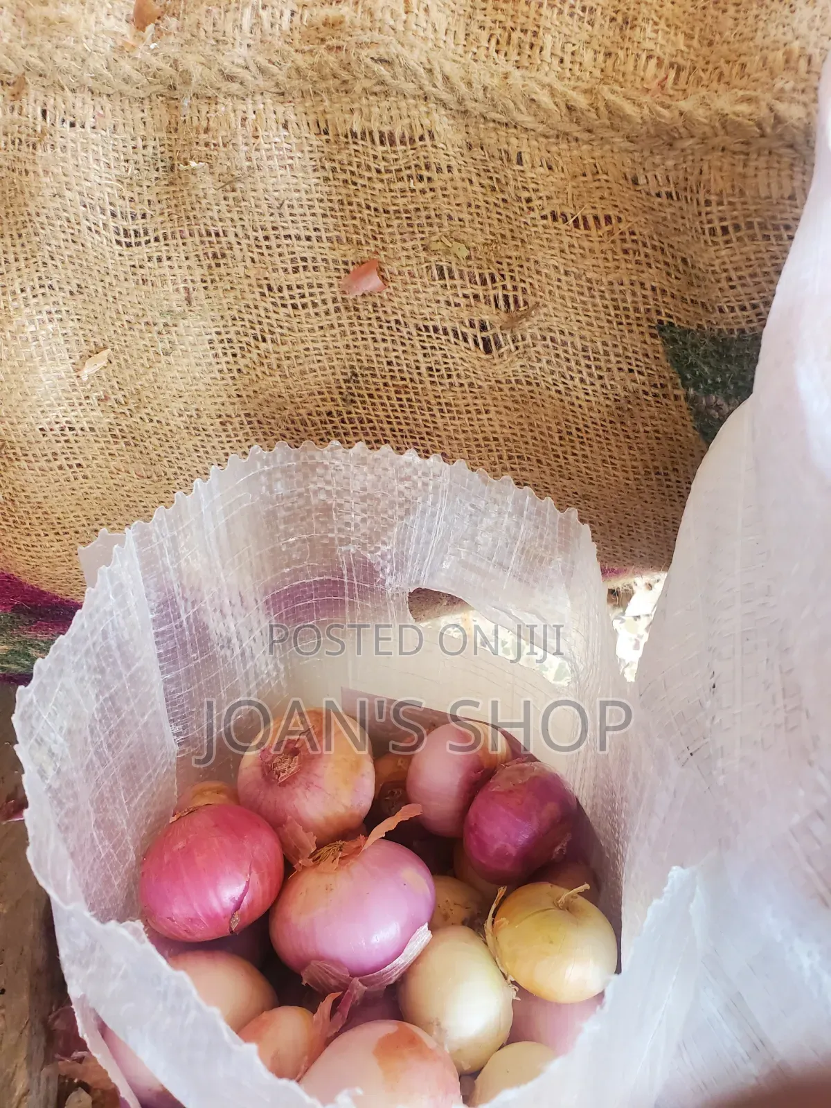 Bulk Onions for Sale