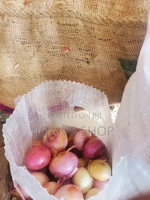 Bulk Onions for Sale