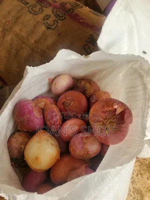 Bulk Onions for Sale