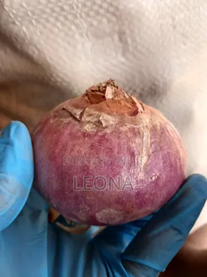 Bags Of Onions