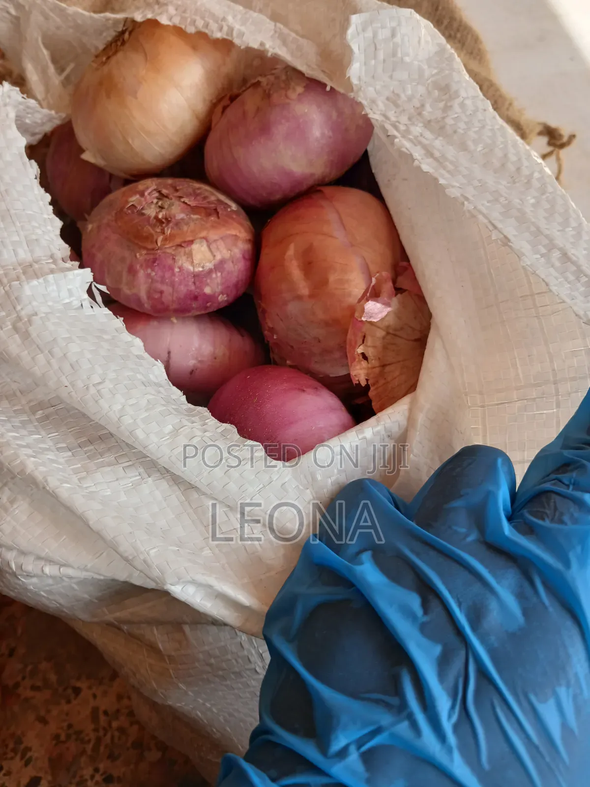 Bags Of Onions