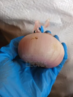 Bags Of Onions