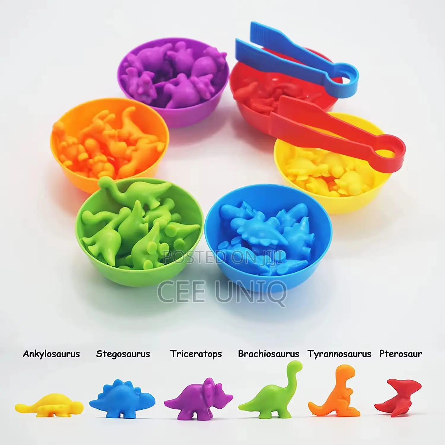 Animal Classification Toy