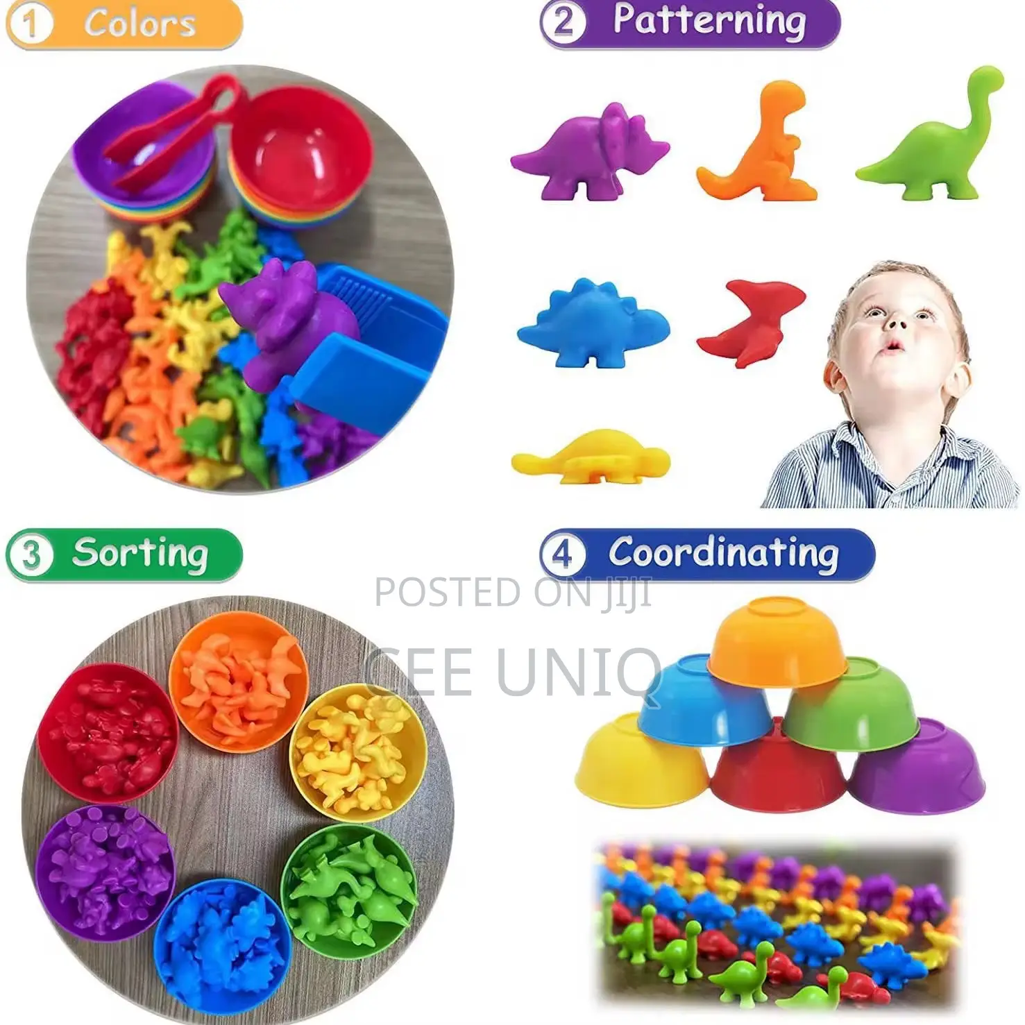 Animal Classification Toy
