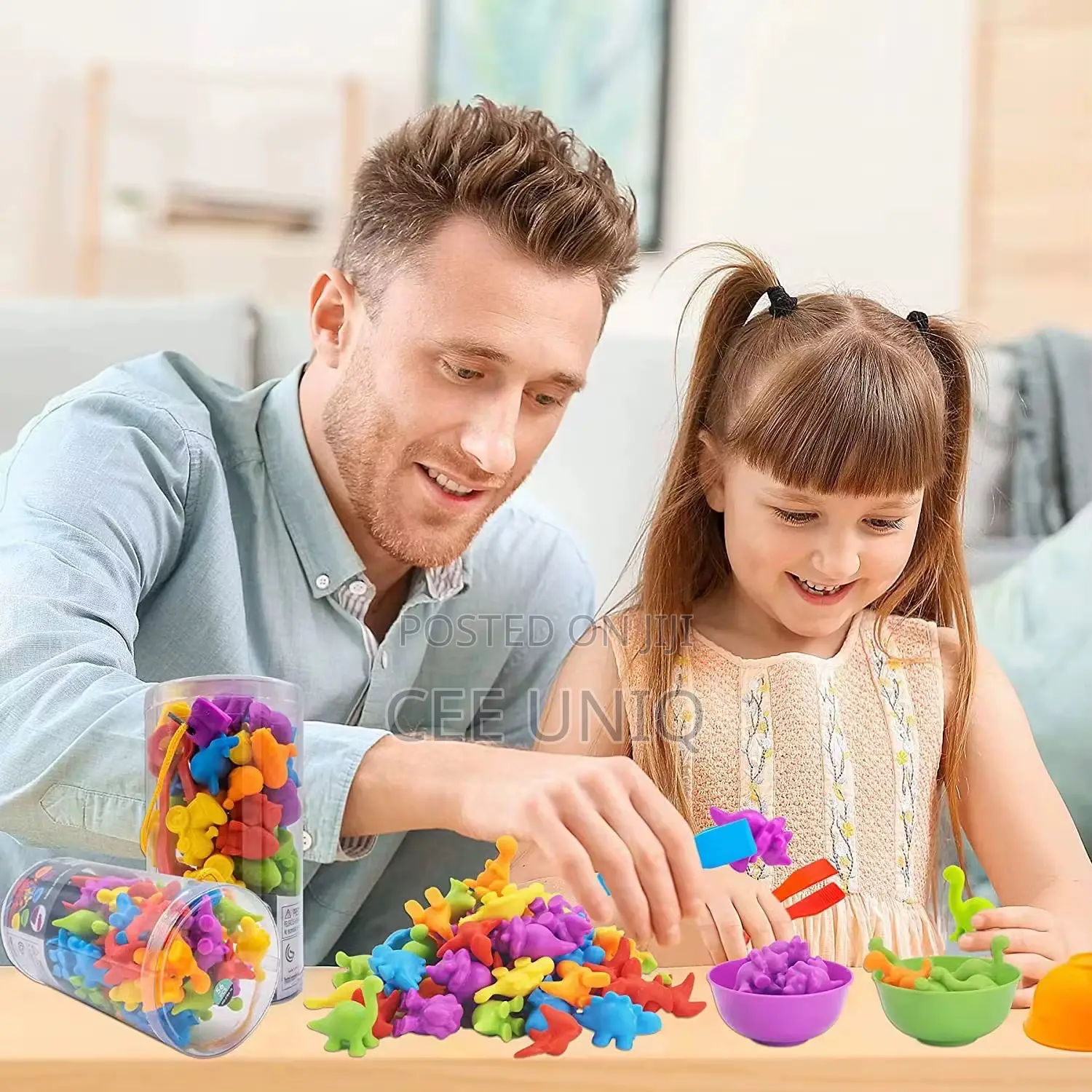 Animal Classification Toy