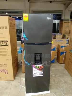 247 Litters Roch Top Freezer Double Door Fridge