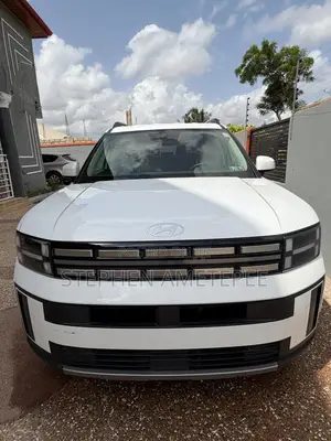 Hyundai Santa Fe 2024 White