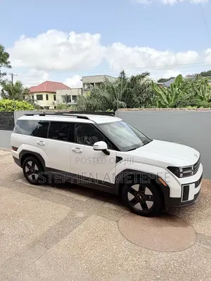 Hyundai Santa Fe 2024 White