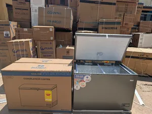 Nasco 338l Chest Freezer 3950gh