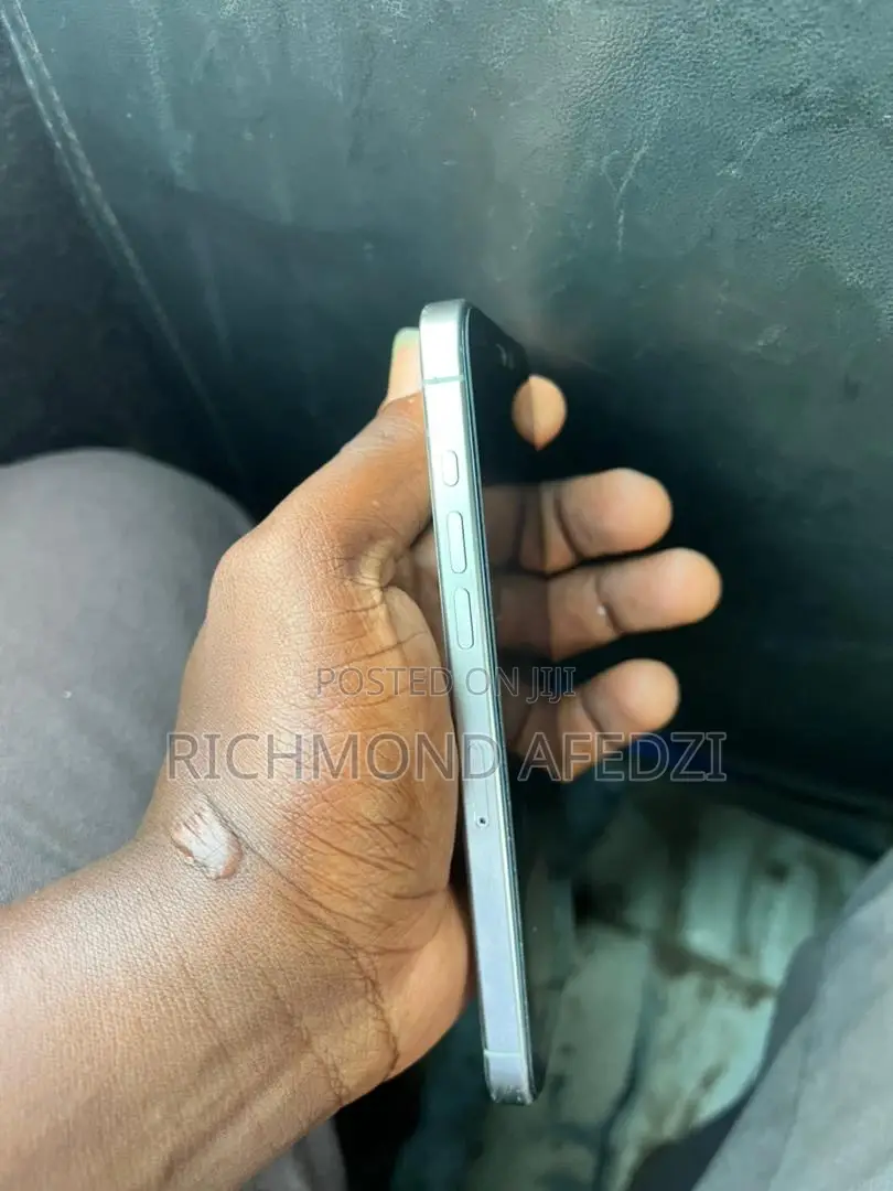 Apple iPhone 15 Pro Max 256 GB Silver