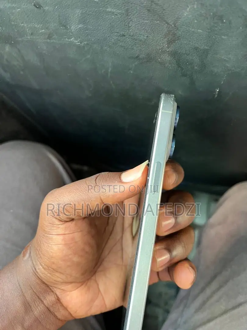 Apple iPhone 15 Pro Max 256 GB Silver