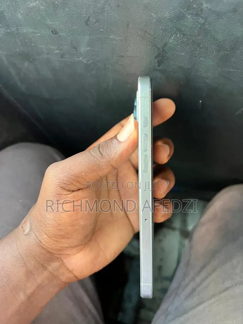 Apple iPhone 15 Pro Max 256 GB Silver