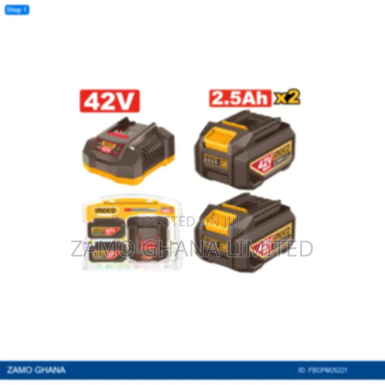 Lithiumion Battery and Charger - Fbcpm25221