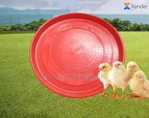 Chicken Feeding Tray