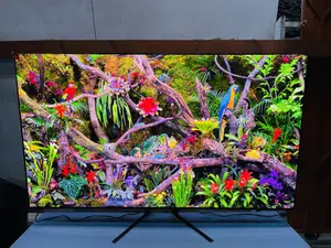Most Colorful Samsung Oled 65 Inch S93f Active at 144 Hz HDR Smart Tv