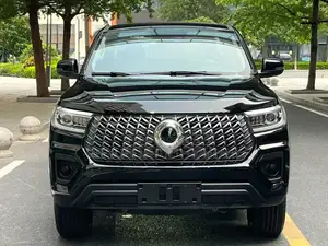 Great Wall Pao 2024 Black