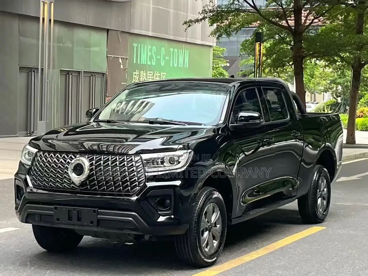 Great Wall Pao 2024 Black