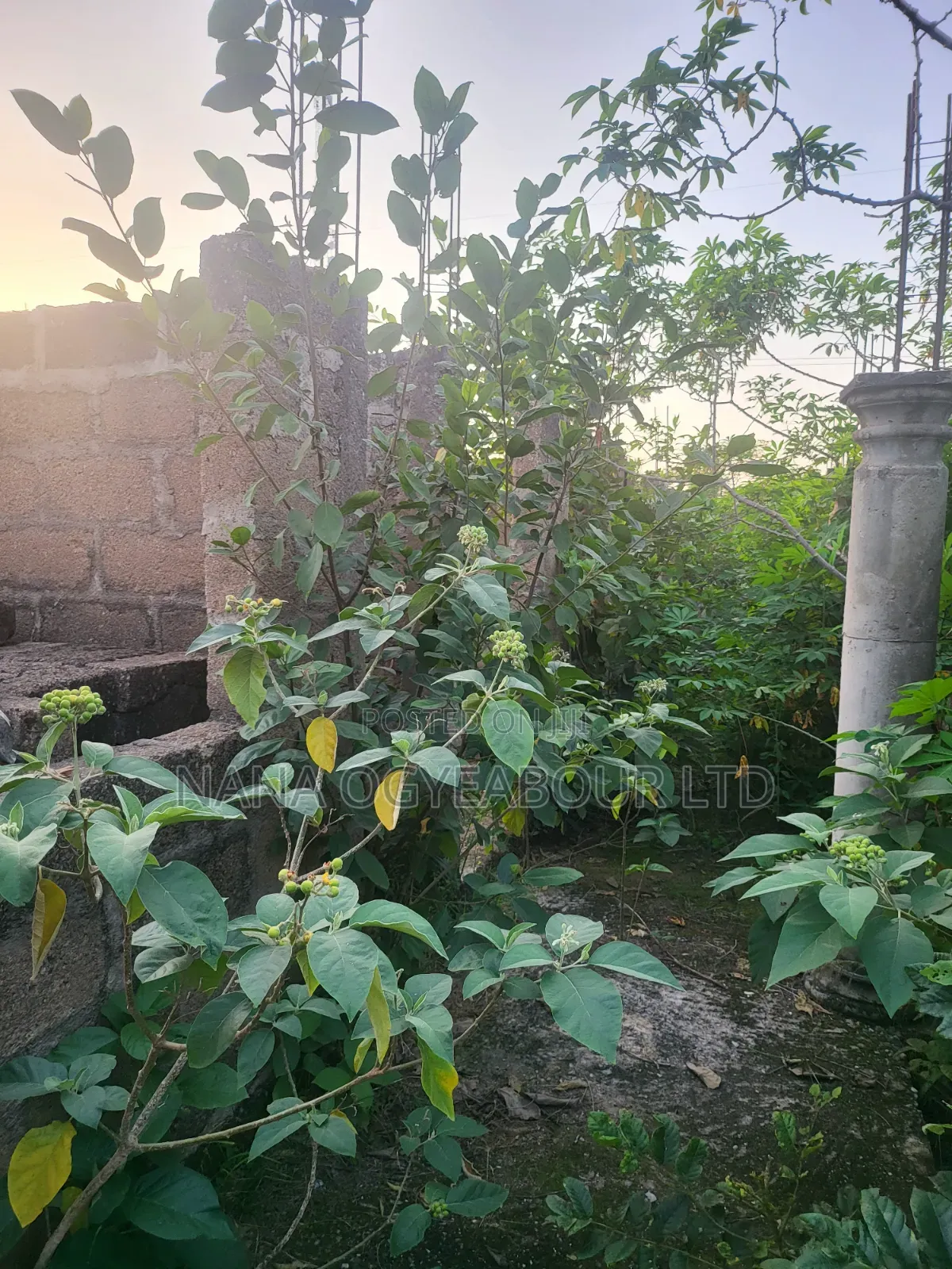 10bdrm House in At Nyaboo, Asante Akim Central Municipal for sale