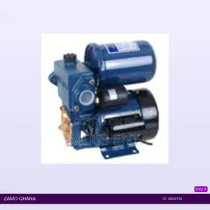 Water Pump + Auto Cpnt. 0.5 Hp - Msm130