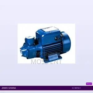 End-Suction Peripheral 0.5 Hp - Mkp60-1