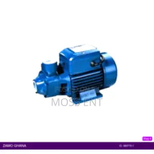 End-Suction Peripheral 0.8 Hp - Mkp70-1