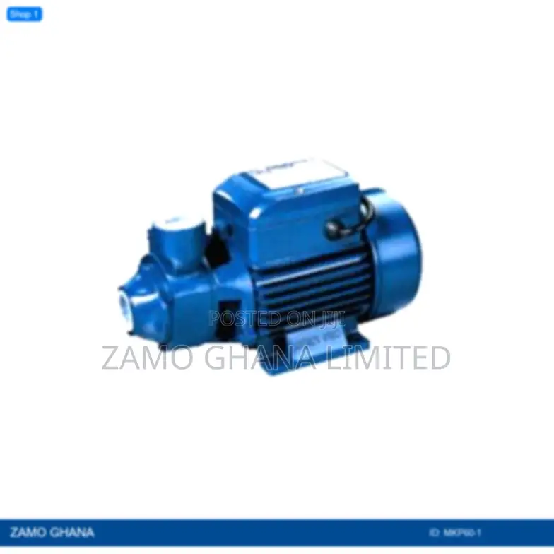 End-Suction Peripheral 0.5 Hp - Mkp60-1