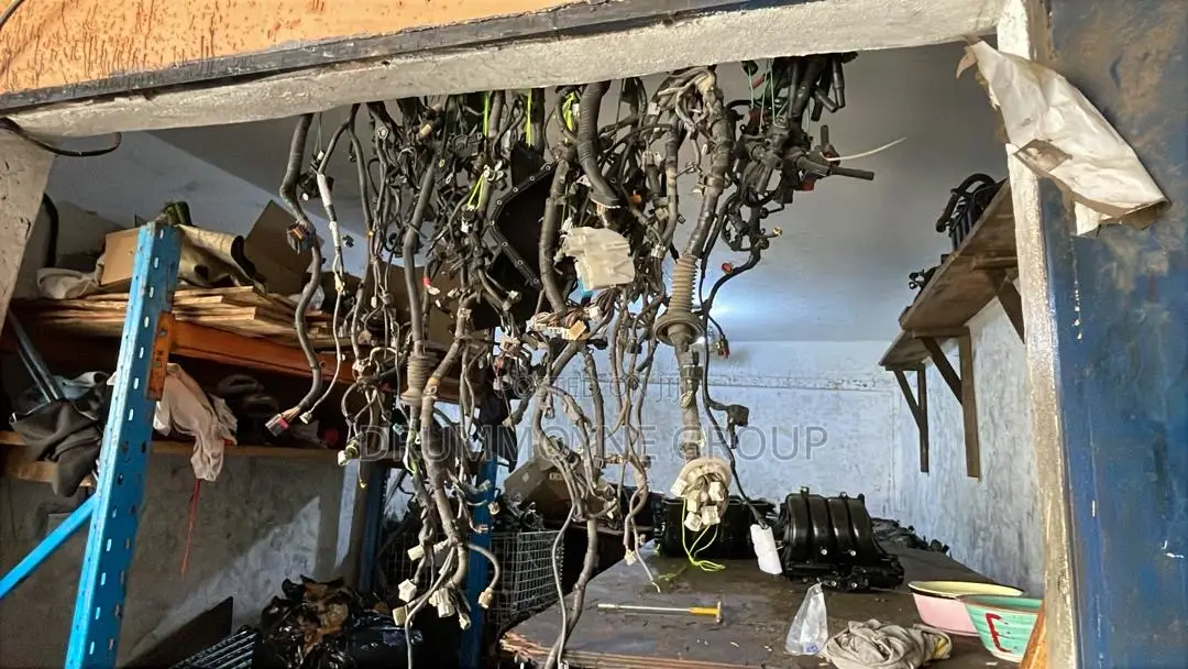 Toyota Camry Corolla Wiring Harness