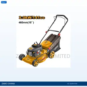 Gasoline Lawn - Glm141181