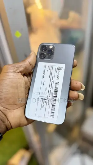 Apple iPhone 12 Pro 256 GB Gray