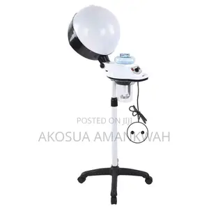 Hair Steamer