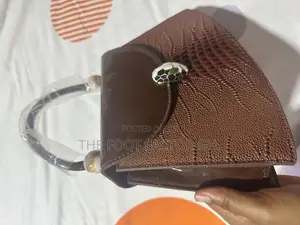 Ladies Hand Bag