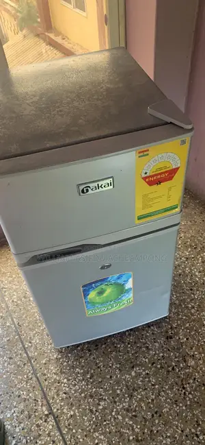 Nakai Compact Double-Door Refrigerator