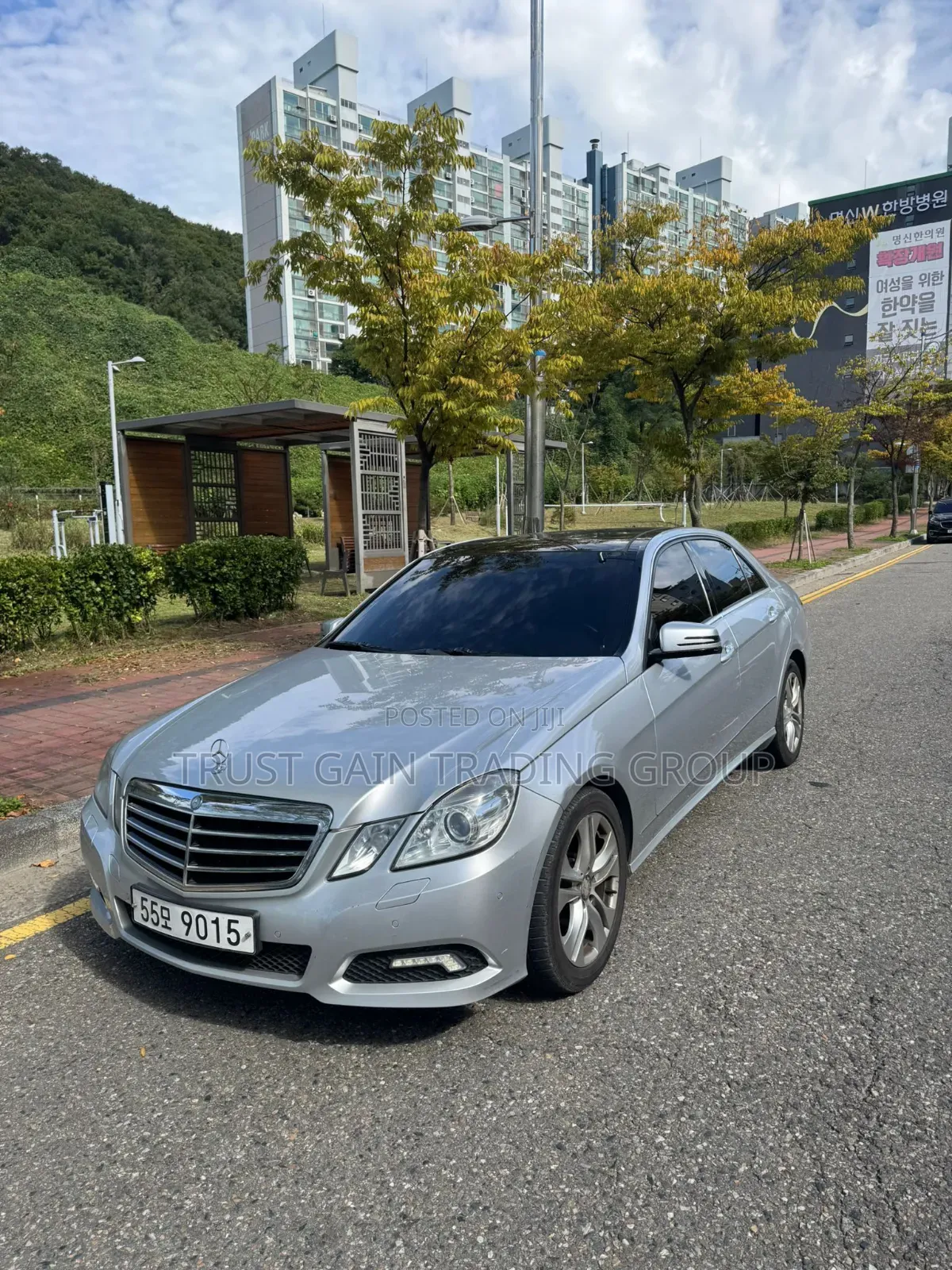 Mercedes-Benz E300 2010 Silver
