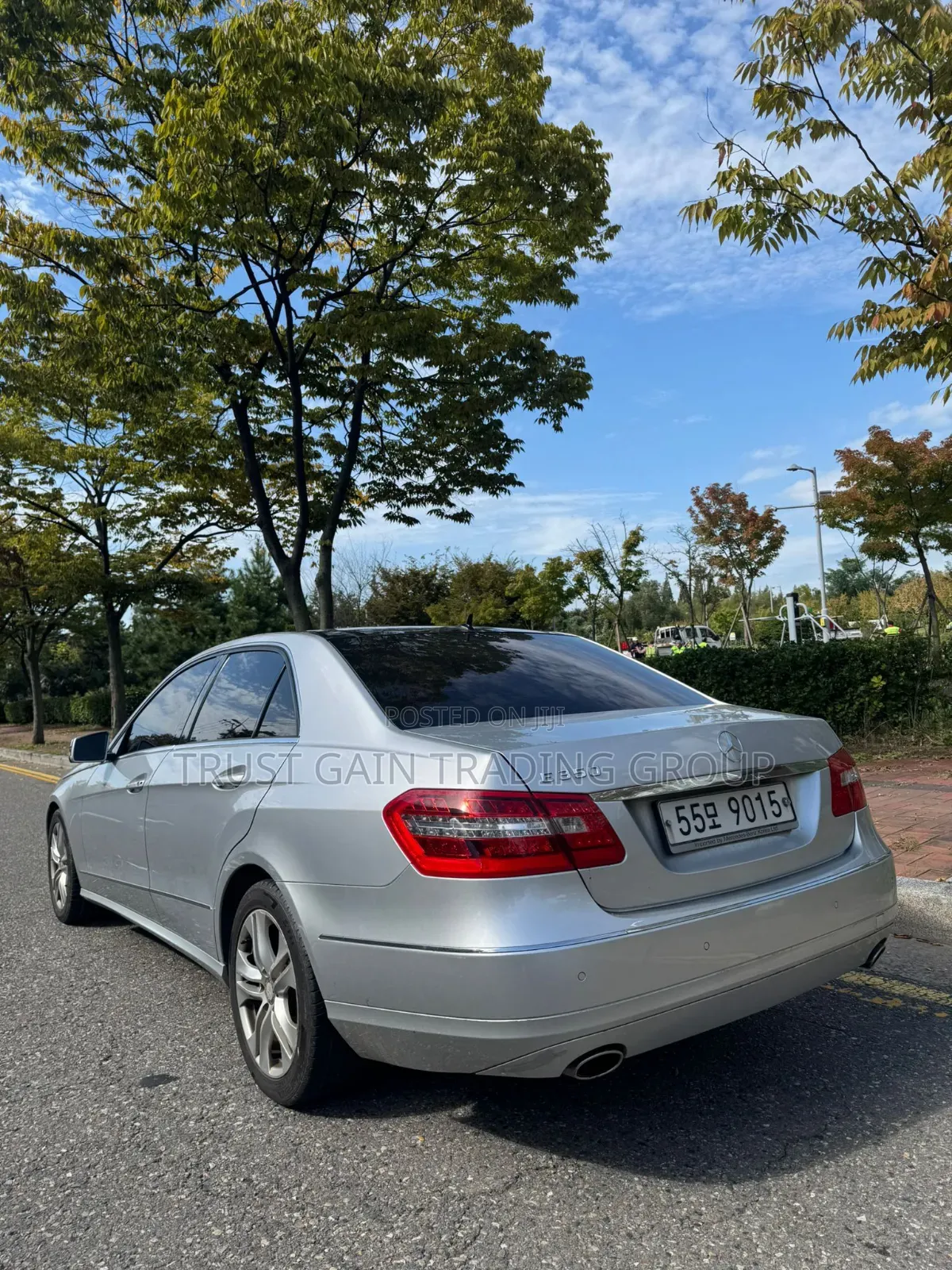 Mercedes-Benz E300 2010 Silver