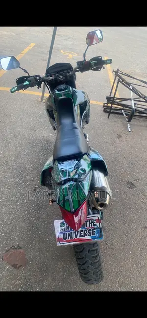 Kawasaki 2020 Green