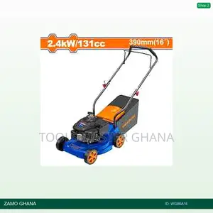 Gasoline Lawn - Wgm6a16