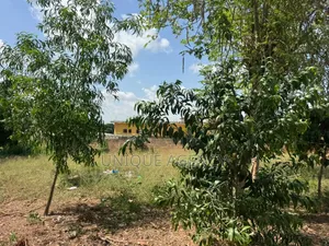 Plot Of Land At Dodowa For Sale