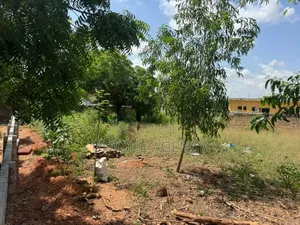 Plot Of Land At Dodowa For Sale
