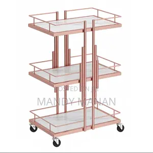 Professional Salon Trolley